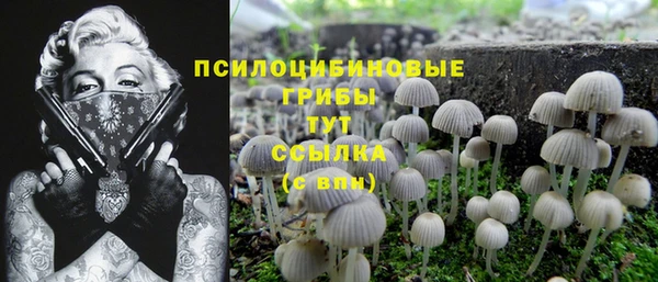 прущий лед Арсеньев