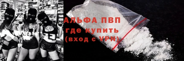сатива Магас